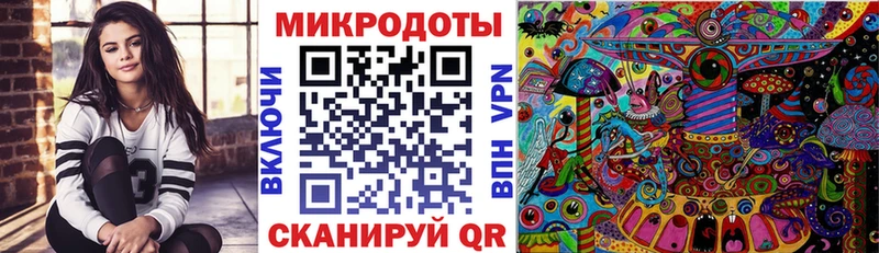 Псилоцибиновые грибы Psilocybe  как найти наркотики  Новоузенск 