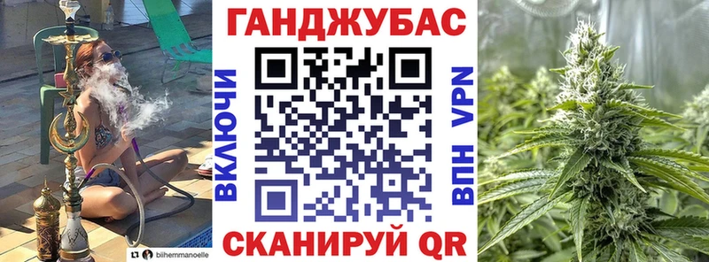 магазин продажи наркотиков  Новоузенск  сайты даркнета состав  Шишки марихуана OG Kush 